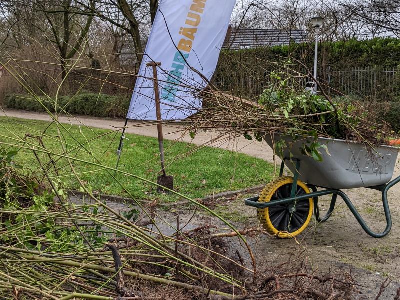 Erntetag Mehr Bäume Jetzt