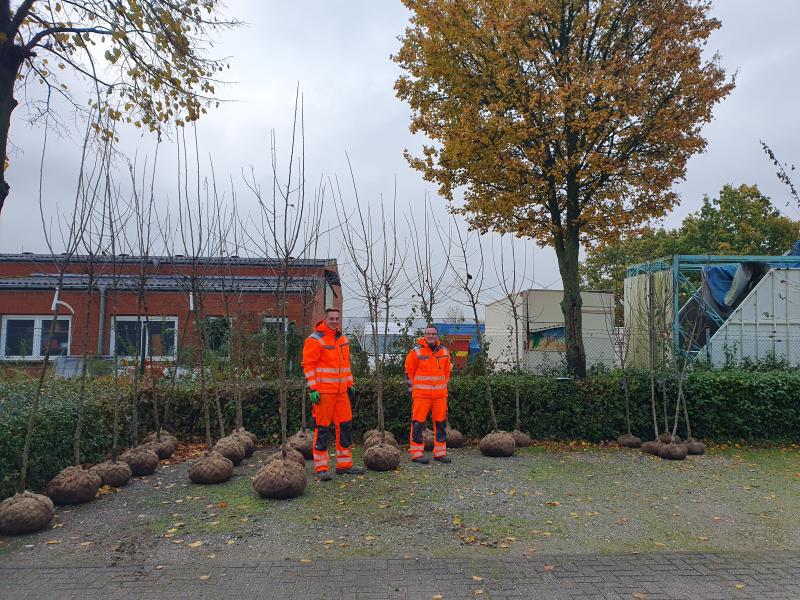 Baumausgabe 2023 am Bauhof der Gemeinde Kerken